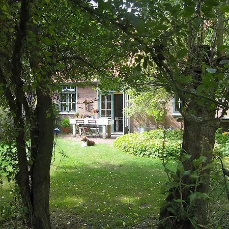 De Windroos | Atelier Aan Zee חרוט