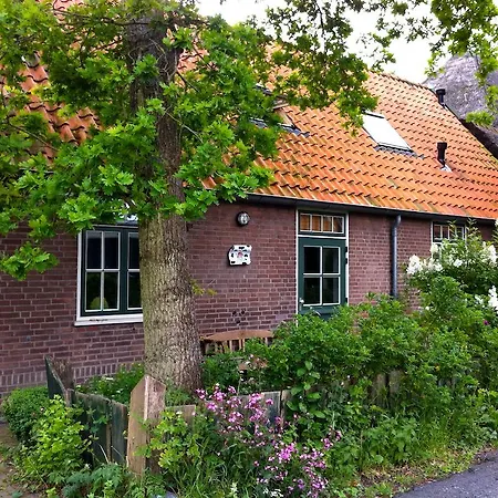 De Windroos | Atelier Aan Zee חרוט