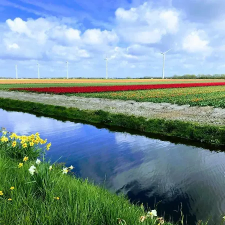 De Windroos | Atelier Aan Zee Apartment Groet