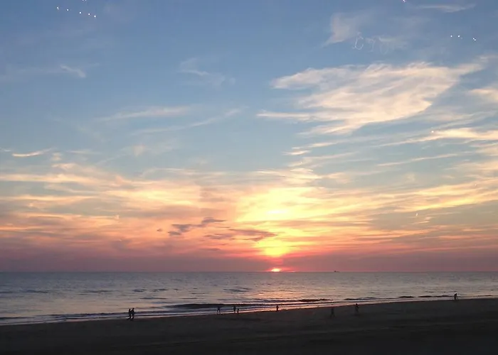 De Windroos | Atelier Aan Zee 公寓 赫鲁特