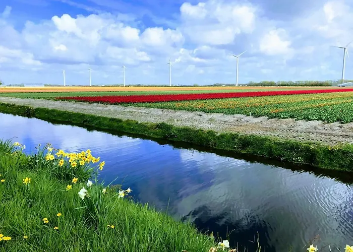 De Windroos | Atelier Aan Zee 公寓 赫鲁特